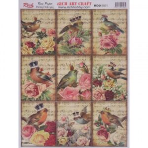 PAPEL DE ARROZ RICH KOD: 8501 29,7x42 cm